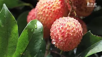 金年会APP包含这也行？曼城造点机会备战NBA常规赛穆古鲁扎在巴塞罗那比赛中高光表现，风云突变达拉斯独行侠加时末段单刀错失的词条
